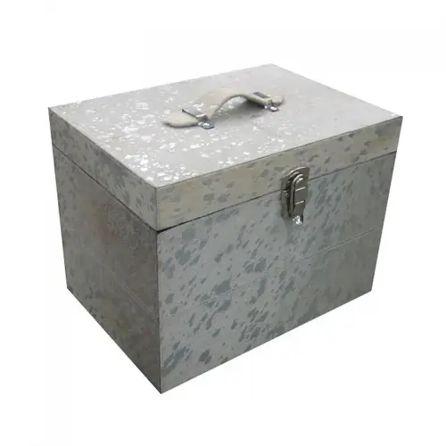  Trunk 40x28x30cm (Silver Foil) SALE