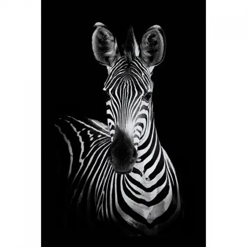 By Kohler  120x180x2cm Alubrush Zebra (107934)