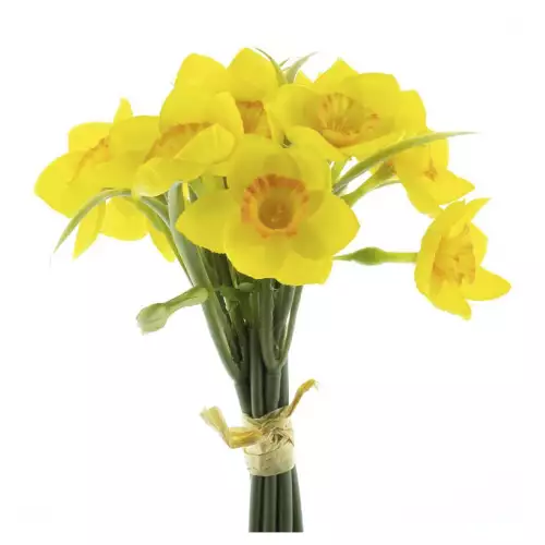 By Kohler  Daffodil bundle x6 yellow/orange 25cm (201012)